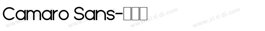 Camaro Sans字体转换